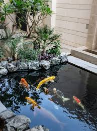 Advanced Landscape Design and Construction of Artificial Eco-Lakes