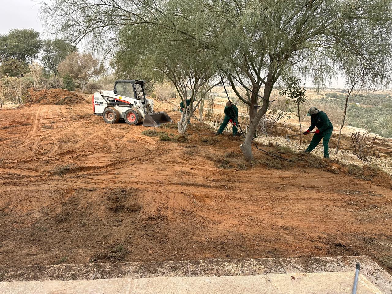 Macro Scale Tree Planting and Strategic Afforestation Fleet Saudi Arabia